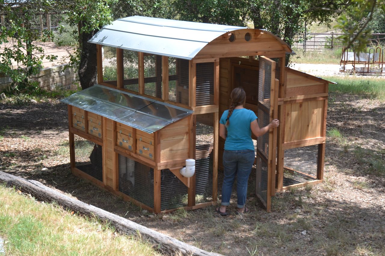 Buying A Chicken Coop