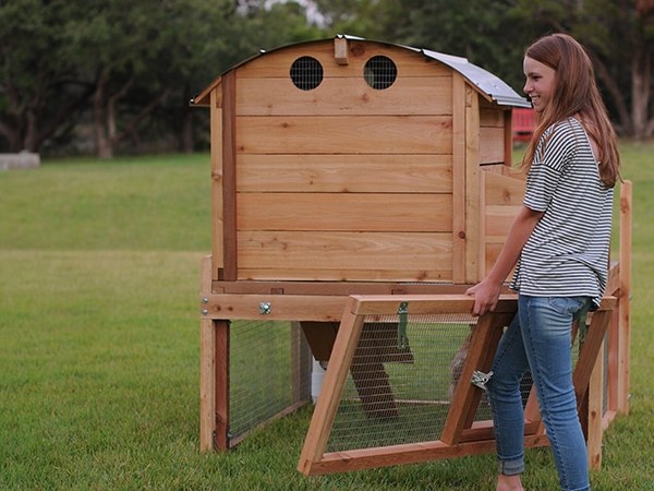 5 Important Things to Consider before Buying or Designing Your Chicken’s Coop