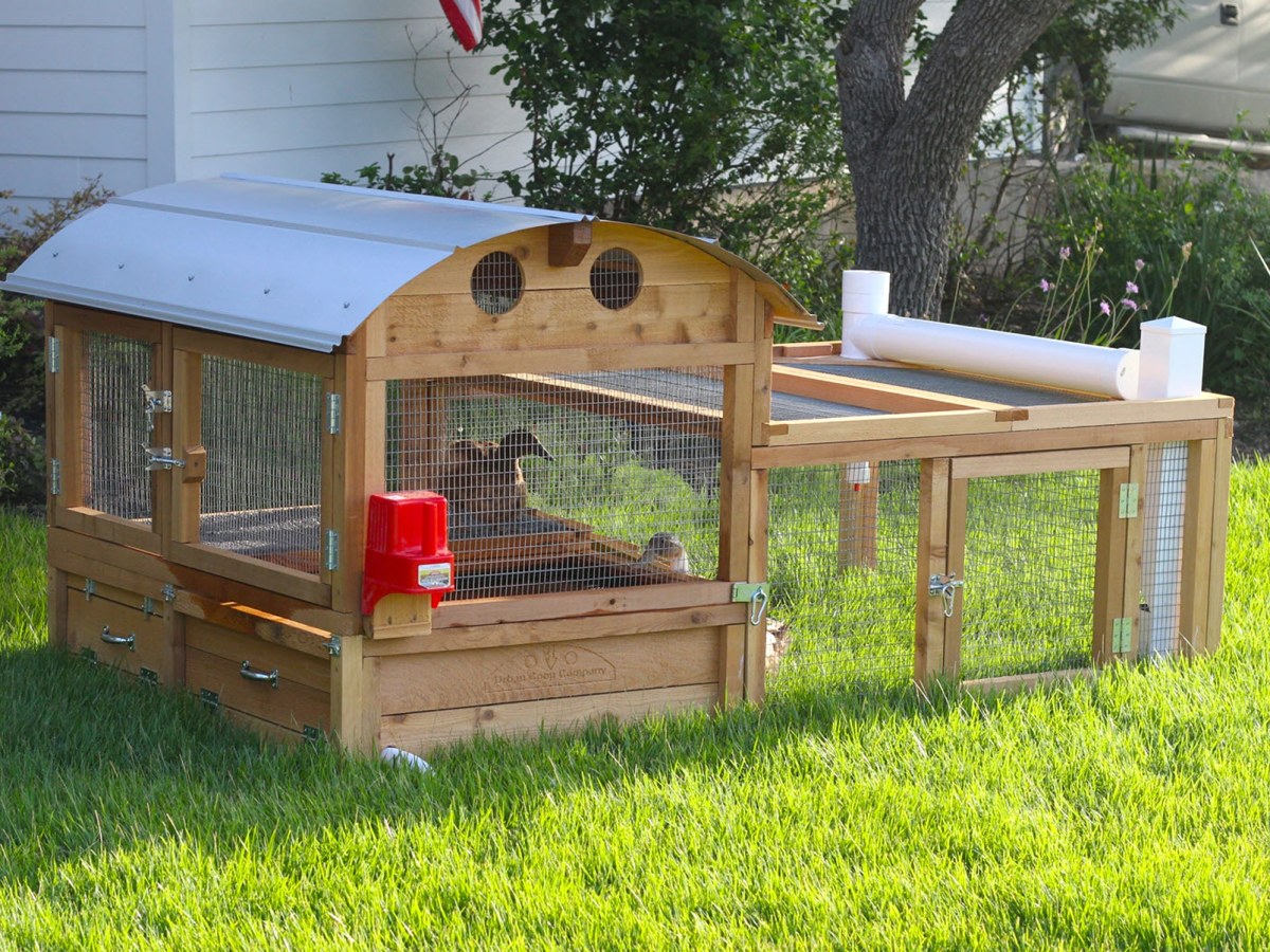 Top 6 Factors You Need to Consider While Buying a Duck Coop for Sale